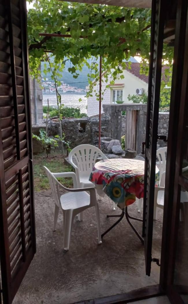 Apartments Vukasovic Kotor Extérieur photo